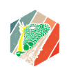 Iguanian Reptile Lover Herpetologist
