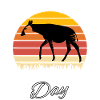 Waldgiraffe Okapi