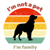 Retro Golden Retriever