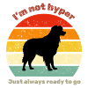 Retro Australian Shepherd