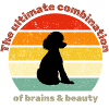 Retro Poodle