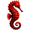 Seahorse