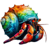 Hermit crab