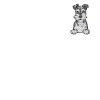 Schnauzer nain Chien Schnauzer