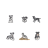 Schnauzer nain Chien Schnauzer