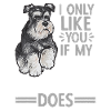 Schnauzer nain Chien Schnauzer