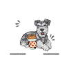 Schnauzer nain Chien Schnauzer