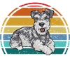 Miniature Schnauzer Dog Schnauzer