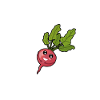 are you radis