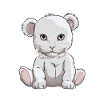 Teddybär Katze Katzen Kätzchen Bär