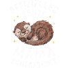 Otter Sea Otter