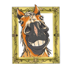 Pferdekopf Pferd Pferde