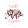 Sloth Sloths Animal Sleeping Lazy