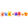 Blumenparadies