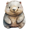 Wombatklasse Klassentier Wombat