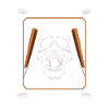 Crâne de baseball