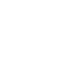 Pilotes d’avions volants
