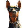 Doberman Hundar Motiv Vakthund Stolt Dobermann