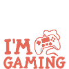 Gaming Gamer