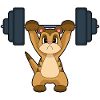 Meerkat Bodybuilder Haltère Musculation