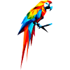 Geometric macaw