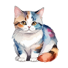Munchkin Teckel Chat Aquarelle