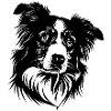 Hund Dog Australian Shepherd