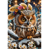 Little Cute Owl