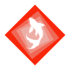 Koi Fish Pond