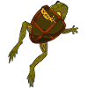 Turtle - Shield Toad - Fantasy Animal
