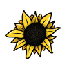 Sonnenblume