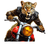 MOTO LEOPARD