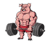 Schwein Gewichtheben Fitness-Studio