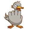 Funny Rude Seagulls Funny Gift