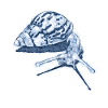 snail with shadow scribble art