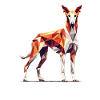 Art géométrique Ibizan Hound