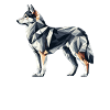 Geometric Art Norwegian Elkhound