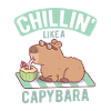 Chillin Like A Capybara Funny