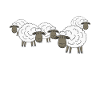Blague drôle de mouton
