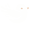 Dove
