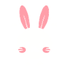 Petit bébé lapin