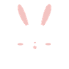 Petit bébé lapin