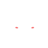 Petit bébé lapin