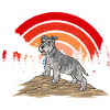 Schnauzer nain Chien Schnauzer