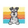 Miniature Schnauzer Dog Schnauzer