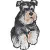 Miniature Schnauzer Dog Schnauzer