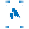 Rodeo Barrel Racing Pferd