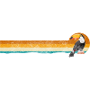 Toucan Animal Bec Oiseaux