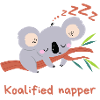 Koalified napper