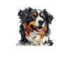 Australian Shepherd BLANKE FREUDE AUSSIE